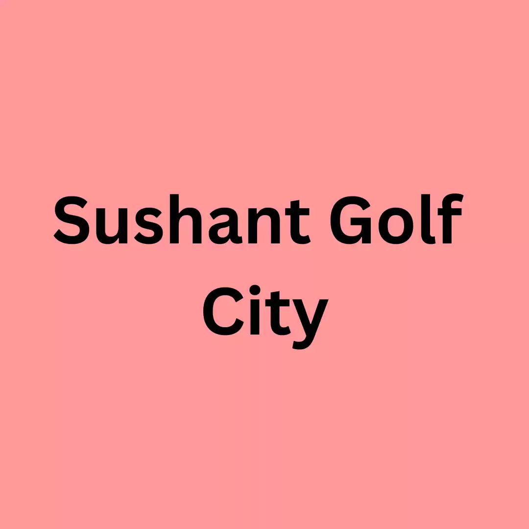 Sushant Golf City Balloon Decoration